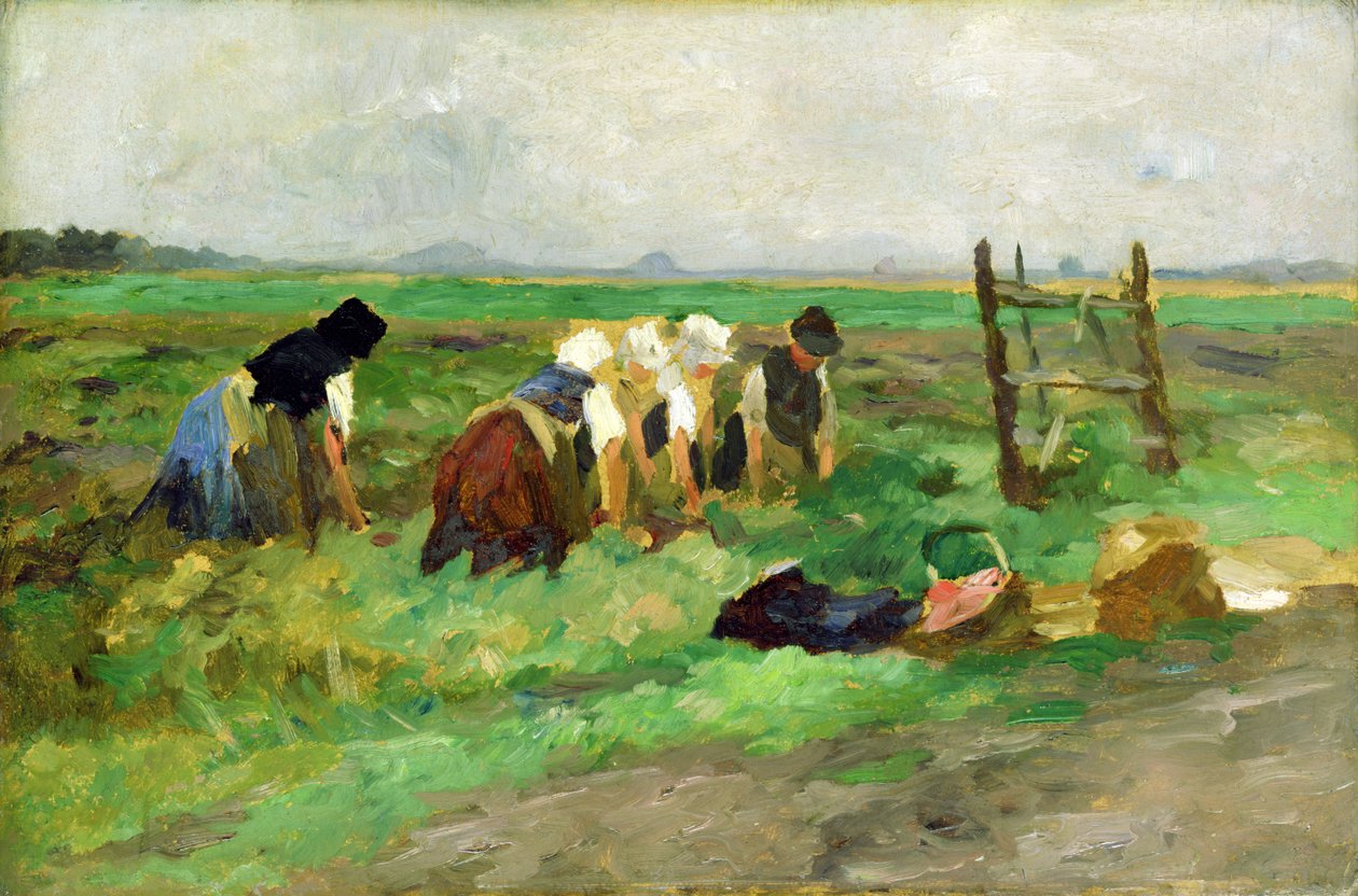 Kenttätyöntekijät, n. 1900 (öljy pahville) tekijältä Thomas Ludwig Herbst