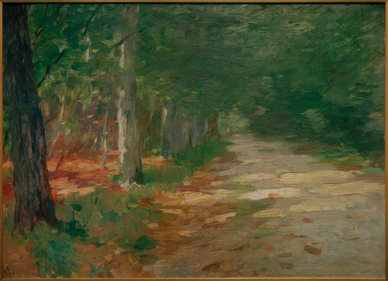 Metsäpolku auringonpilkkuineen tekijältä Thomas Ludwig Herbst