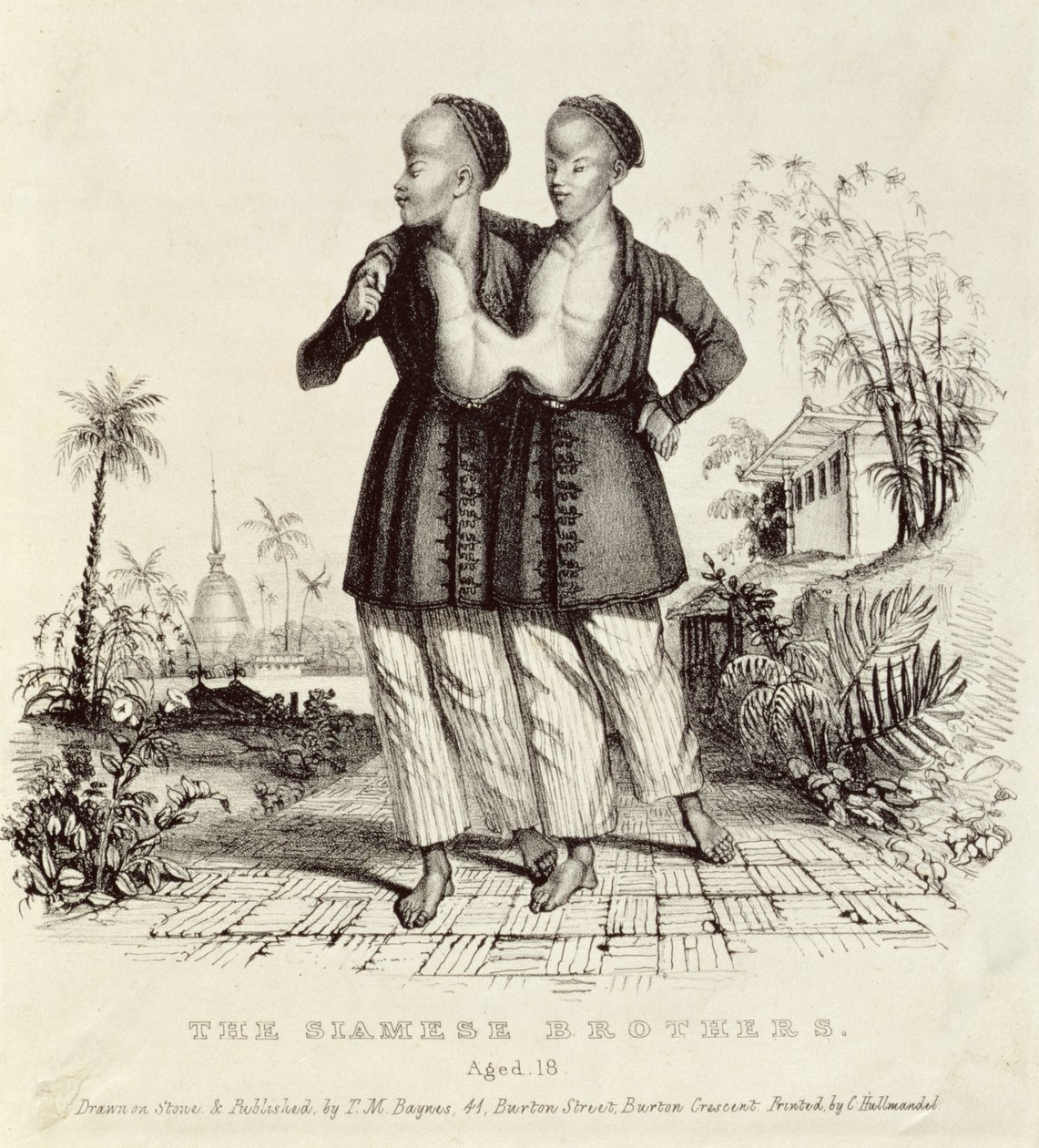 Siamilaiset veljet, 18-vuotiaat, painaja Charles Hullmandel (1789-1850), n. 1829 tekijältä Thomas Mann Baynes