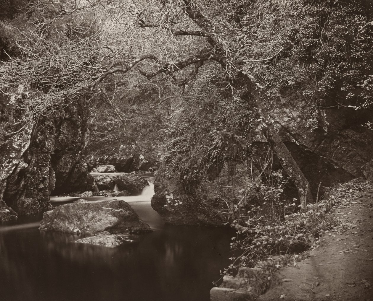 Dargle Hole, n. 1865. tekijältä Thomas Marcus Brownrigg