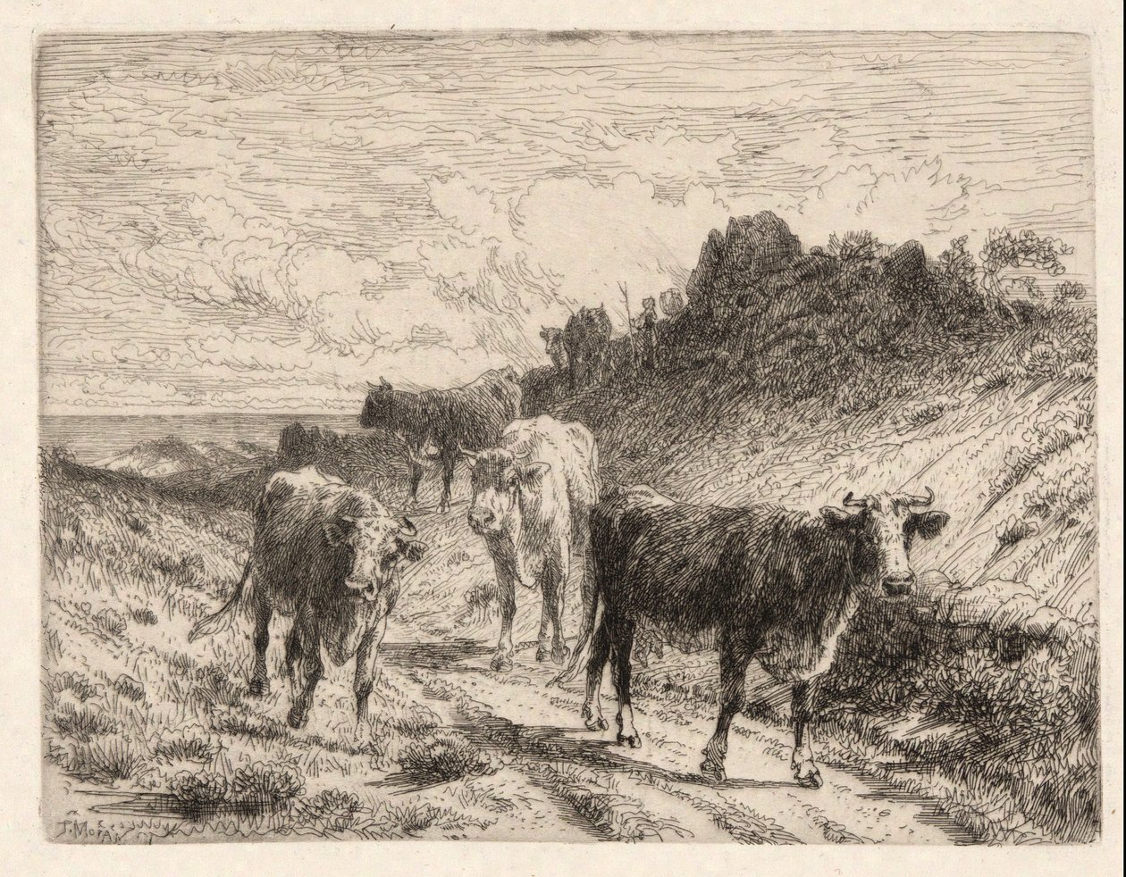 Lehmät tekijältä Thomas Moran