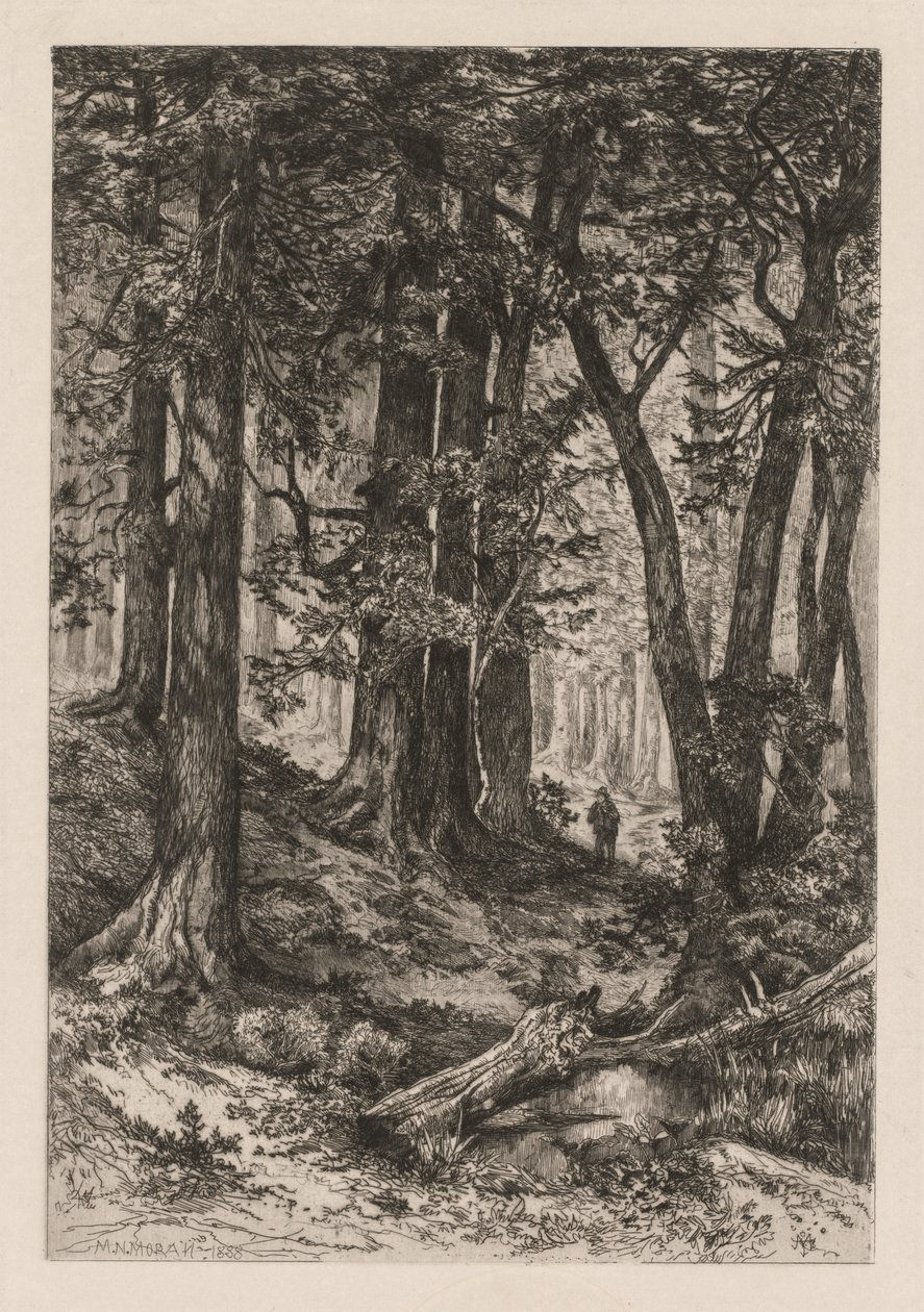 Kalifornian metsän sisätilat (Thomas Moranin (American tekijältä Thomas Moran