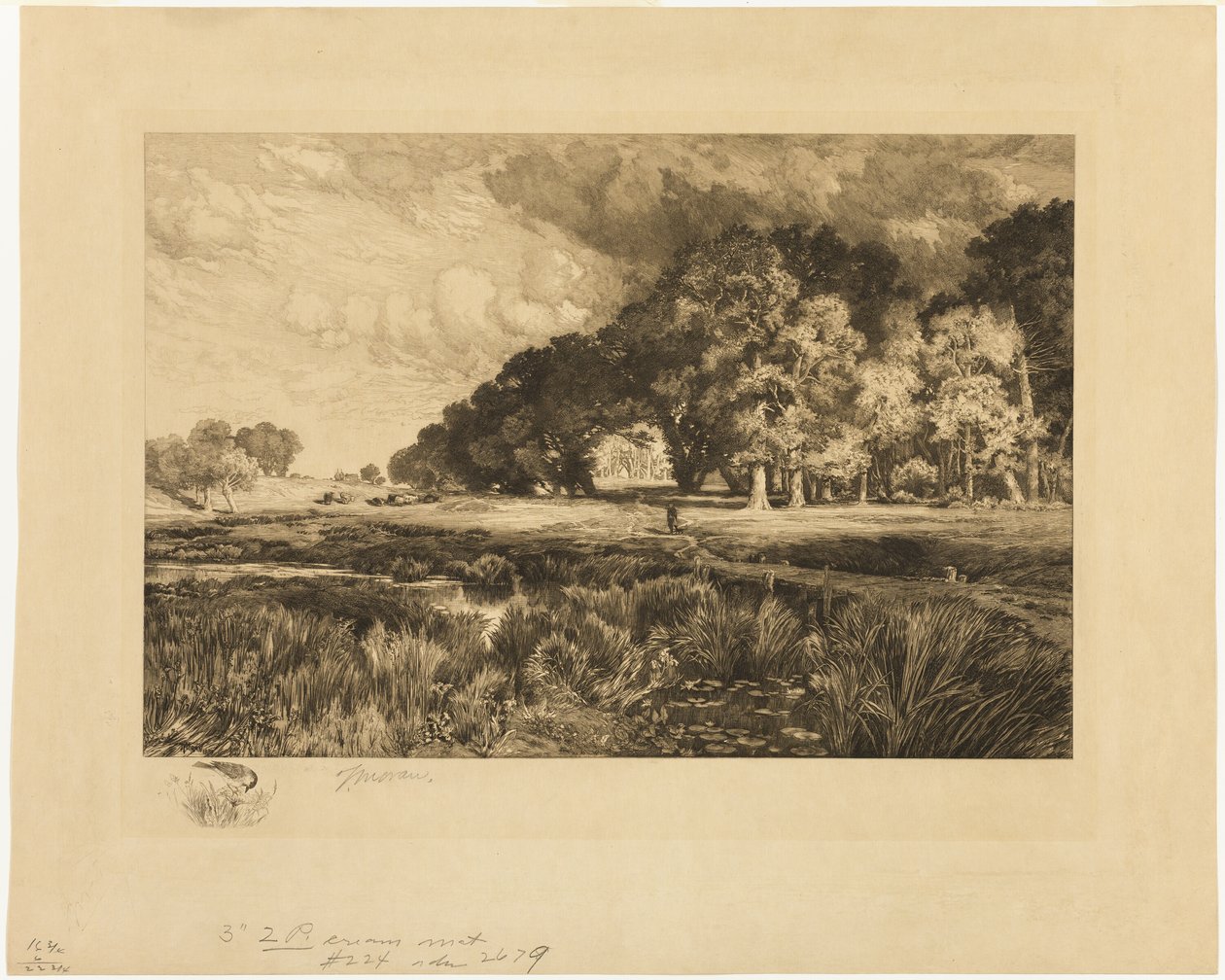 Long Islandin maisema tekijältä Thomas Moran