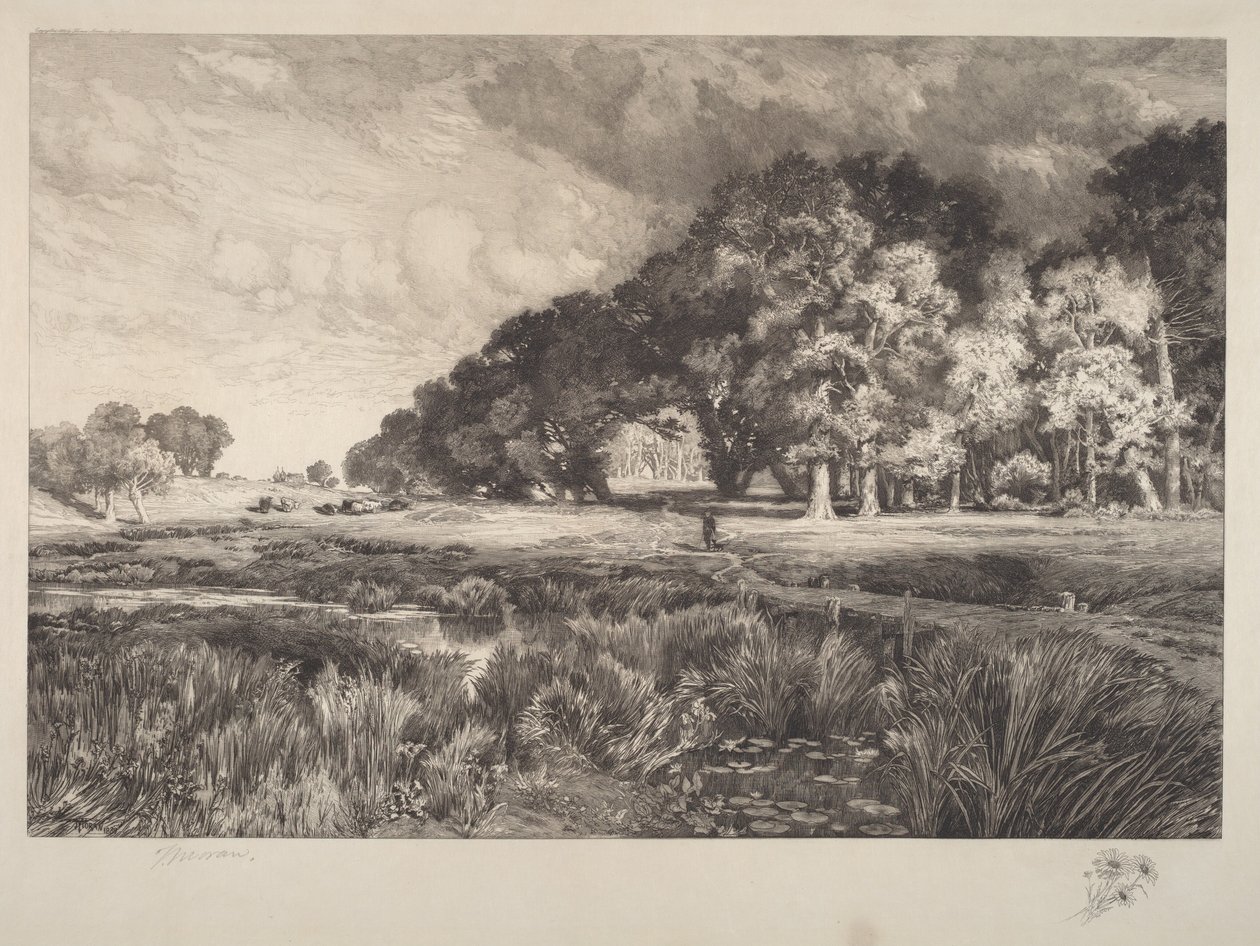Long Islandin maisema tekijältä Thomas Moran