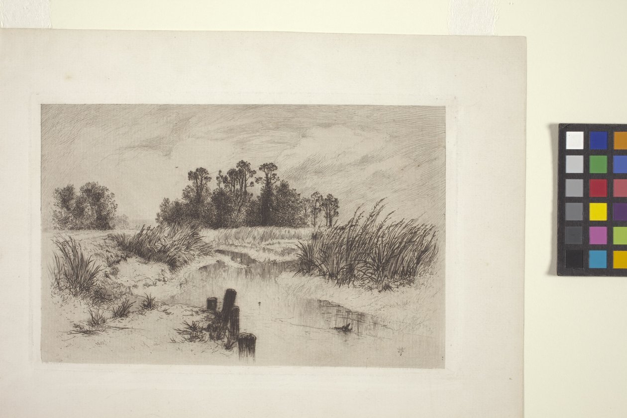 Suoinen maisema ja virta (etsaus paperille) tekijältä Thomas Moran