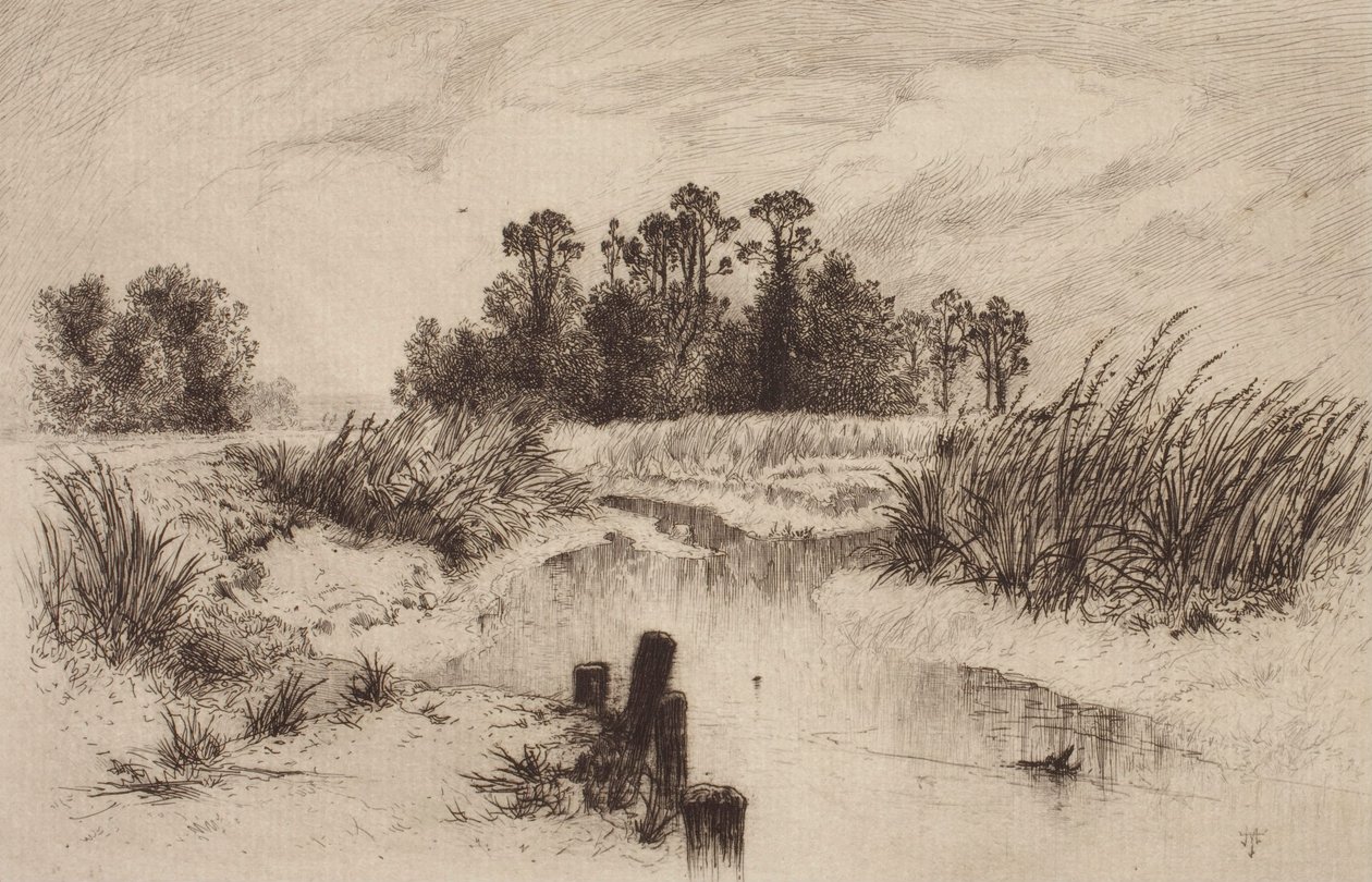 Soistunut maisema ja puro tekijältä Thomas Moran