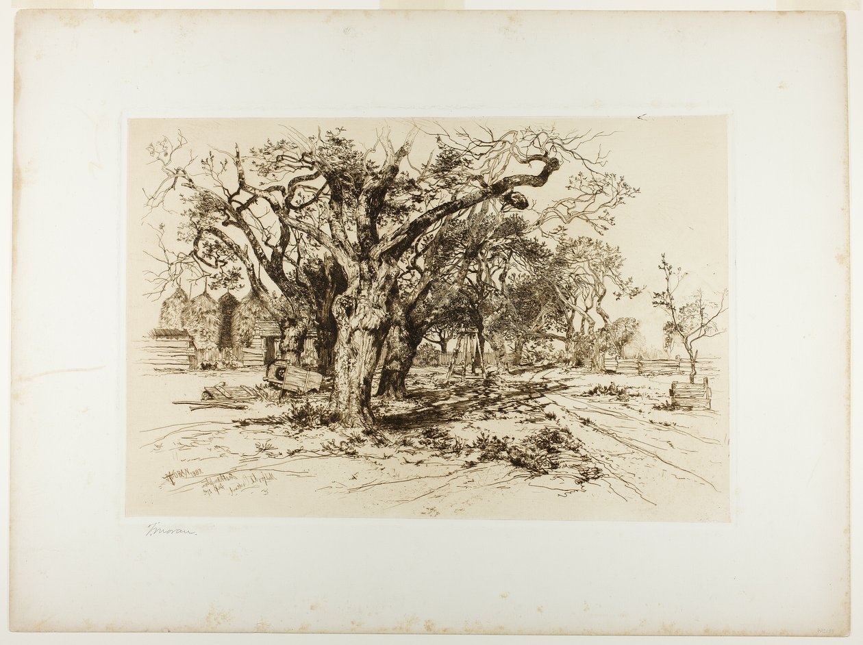 Mulfordin hedelmätarha, Easthampton tekijältä Thomas Moran