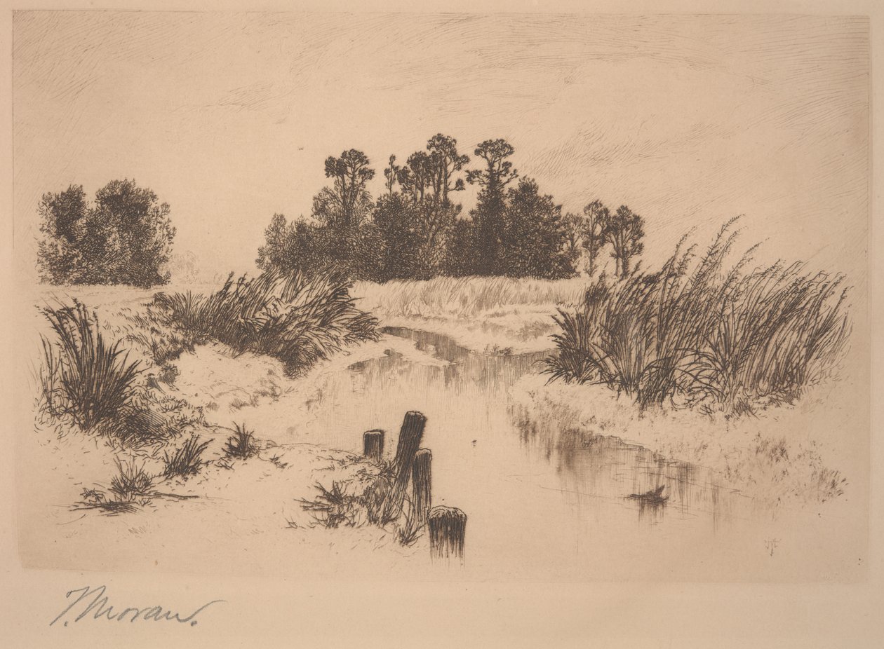 Passaic Meadows (Newark Meadowsissa) tekijältä Thomas Moran