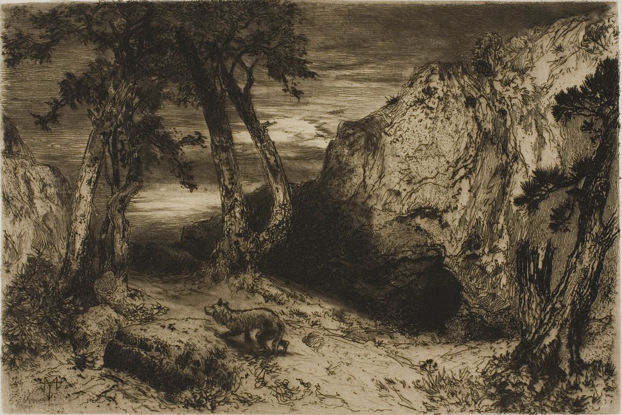 Coyote - Arizona tekijältä Thomas Moran