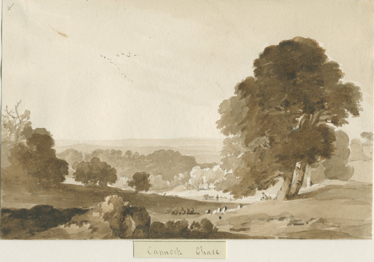 Cannock Chase: seepiapesupiirros, nd [?1839] tekijältä Thomas Peploe Wood