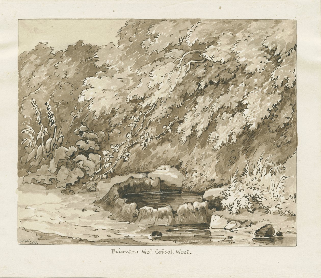 Codsall Wood - Brimstone Well: seepiapiirros tekijältä Thomas Peploe Wood