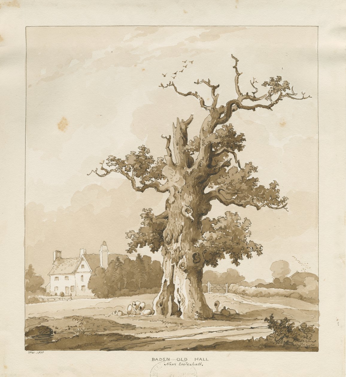 Eccleshall - Baden Old Hall: seepiapiirros tekijältä Thomas Peploe Wood