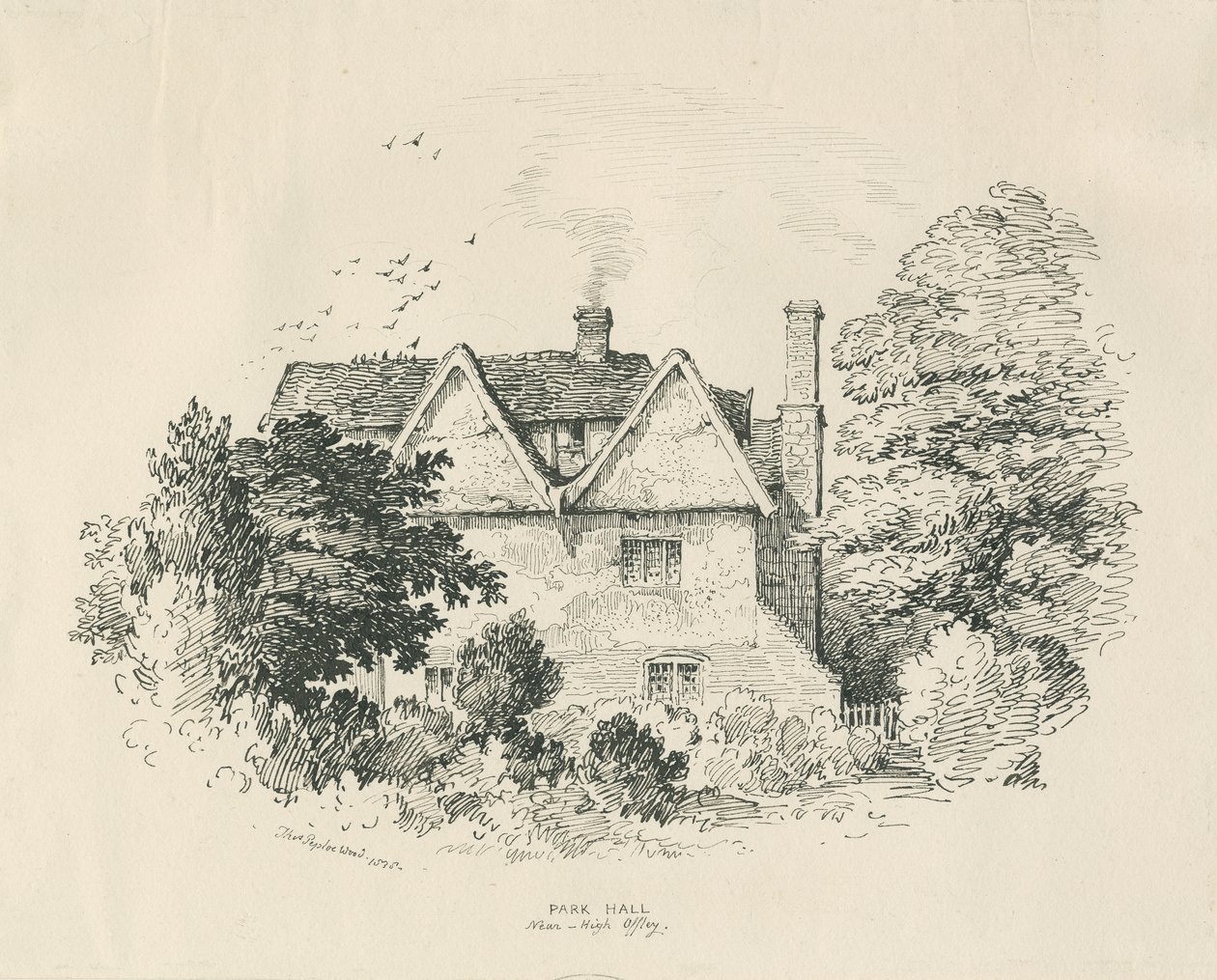 High Offley - Park Hall: tussipiirros (vinjetoitu). tekijältä Thomas Peploe Wood