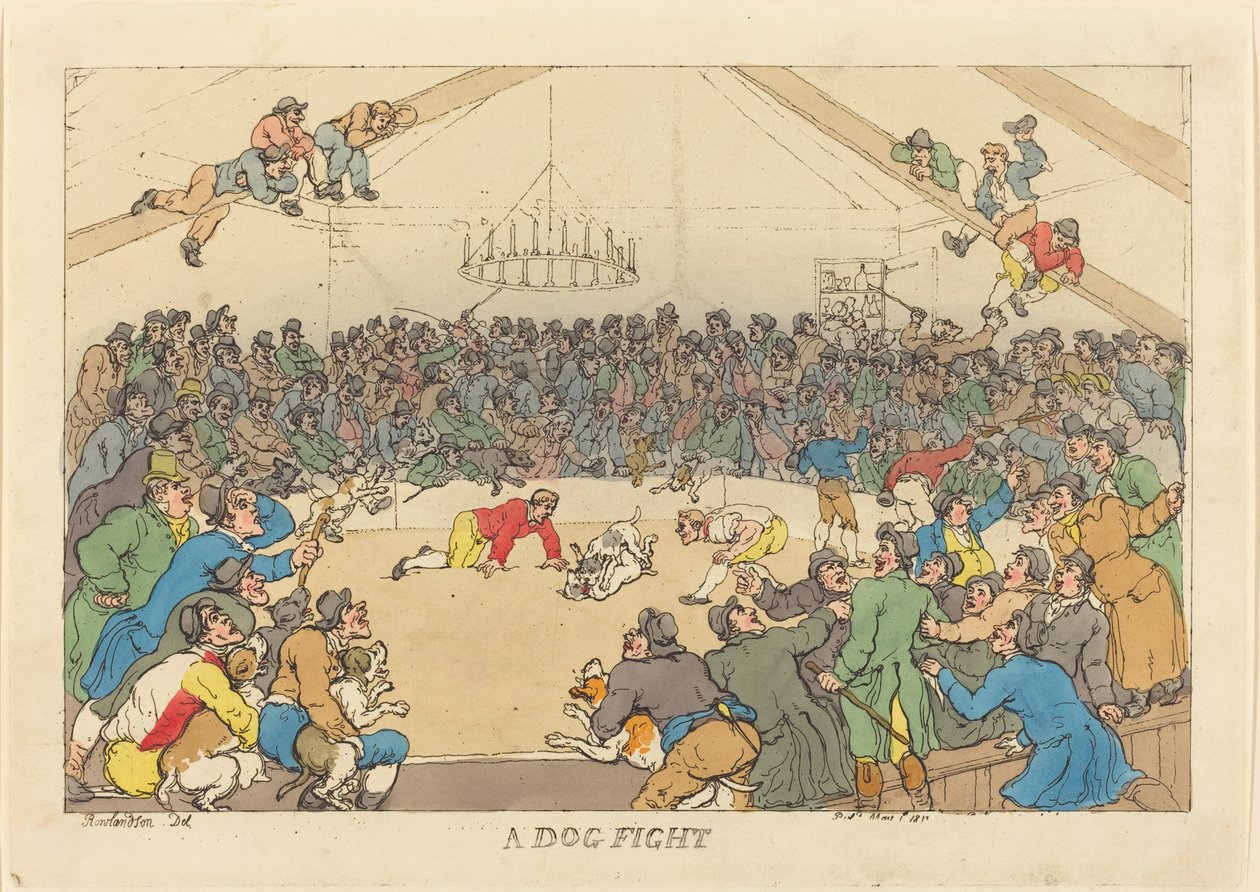 Koirataistelu tekijältä Thomas Rowlandson
