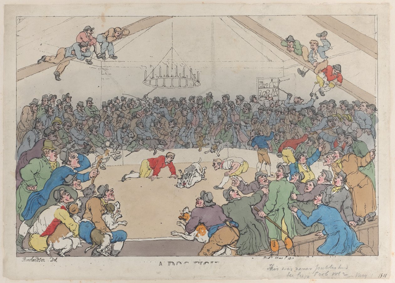 Koirataistelu, 1. toukokuuta 1811, 1. toukokuuta 1811. tekijältä Thomas Rowlandson