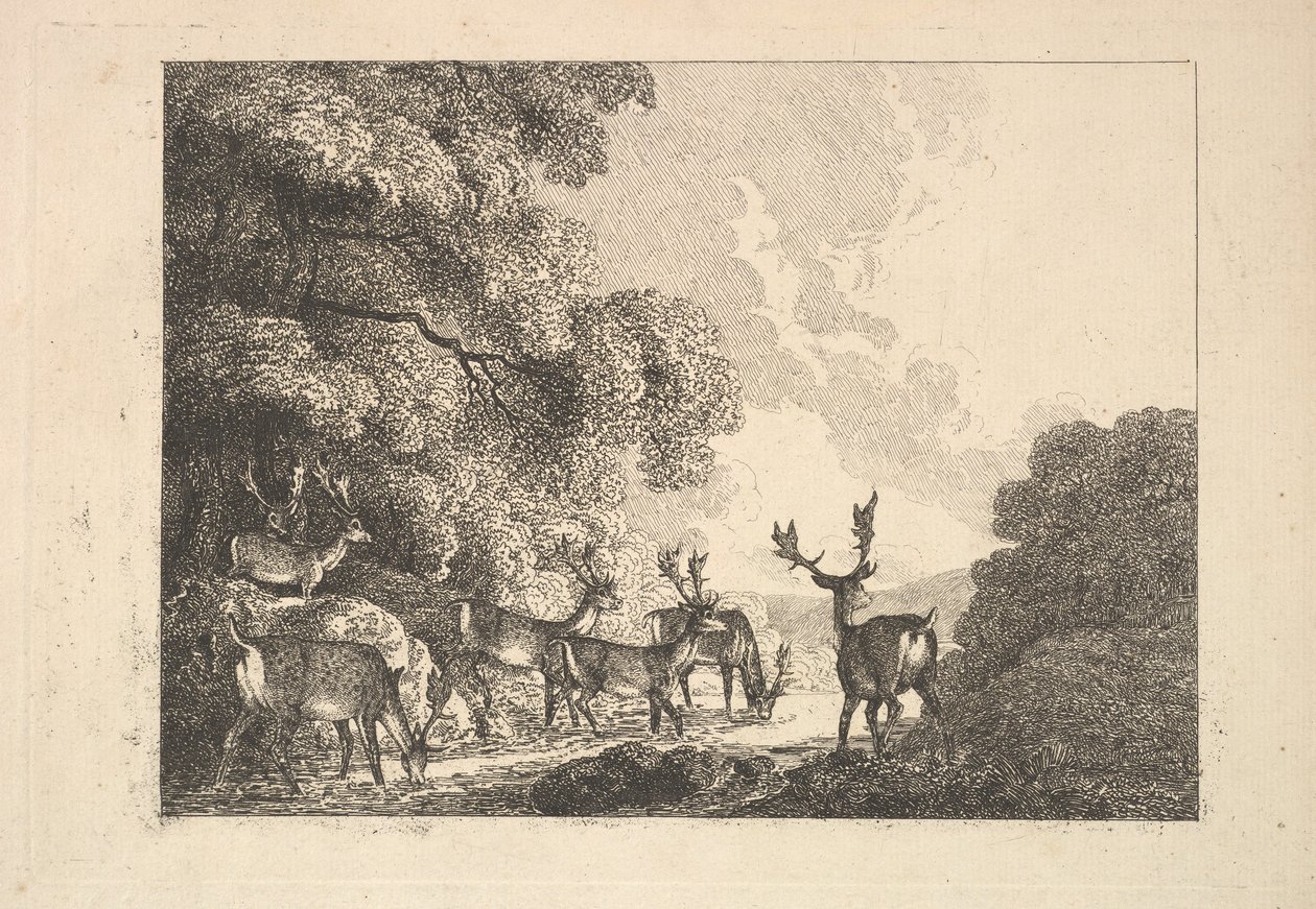 A Group of Stags Drinking, 1784-88. tekijältä Thomas Rowlandson