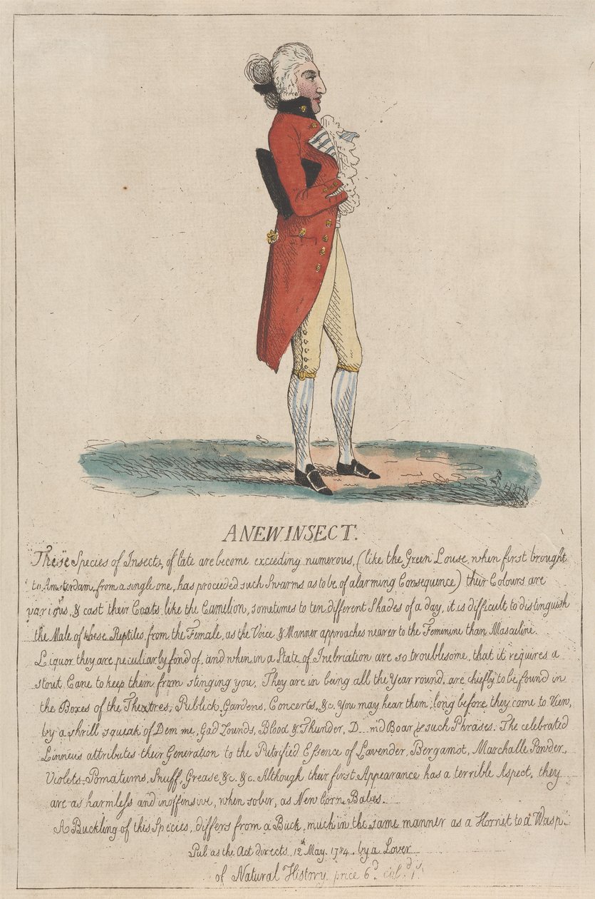 Uusi hyönteinen tekijältä Thomas Rowlandson