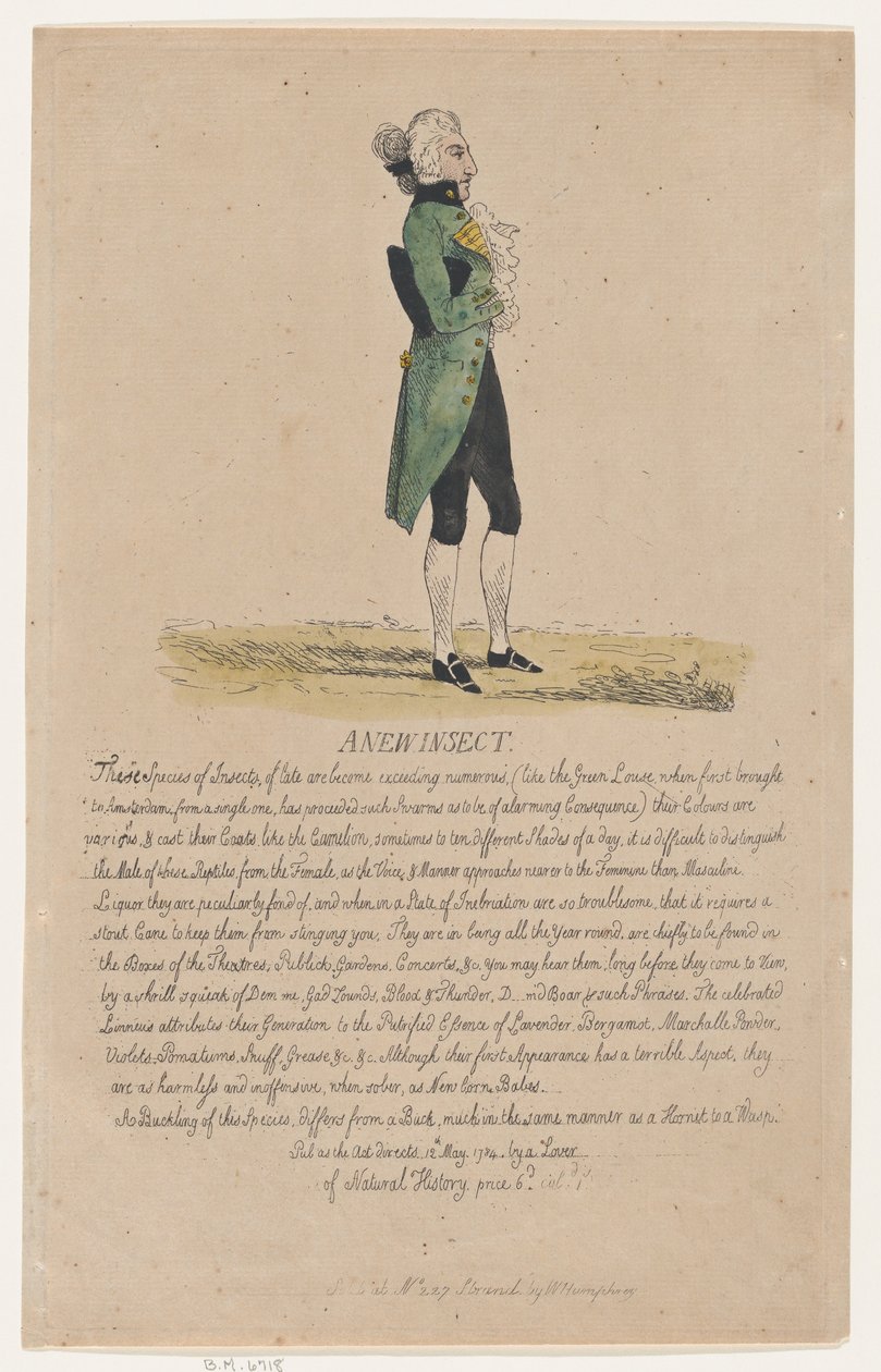 Uusi hyönteinen, 12. toukokuuta 1784, 12. toukokuuta 1784. tekijältä Thomas Rowlandson