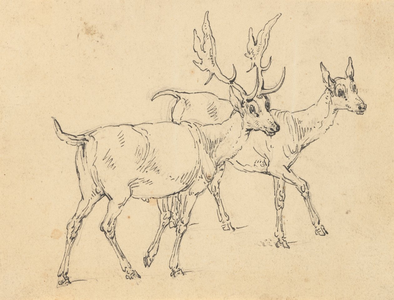 Álbum DrawingFinnish tekijältä Thomas Rowlandson