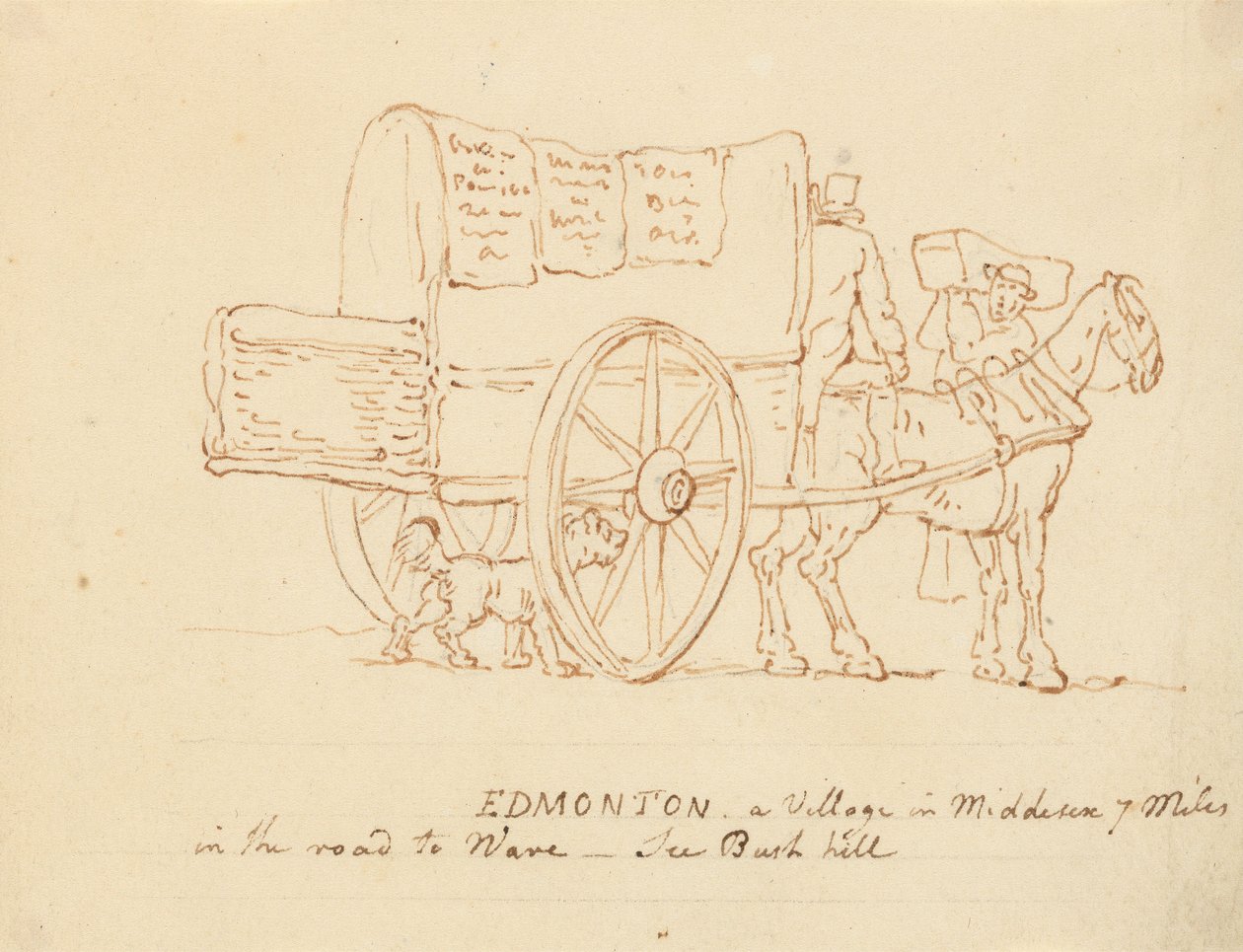 Albumin piirros tekijältä Thomas Rowlandson