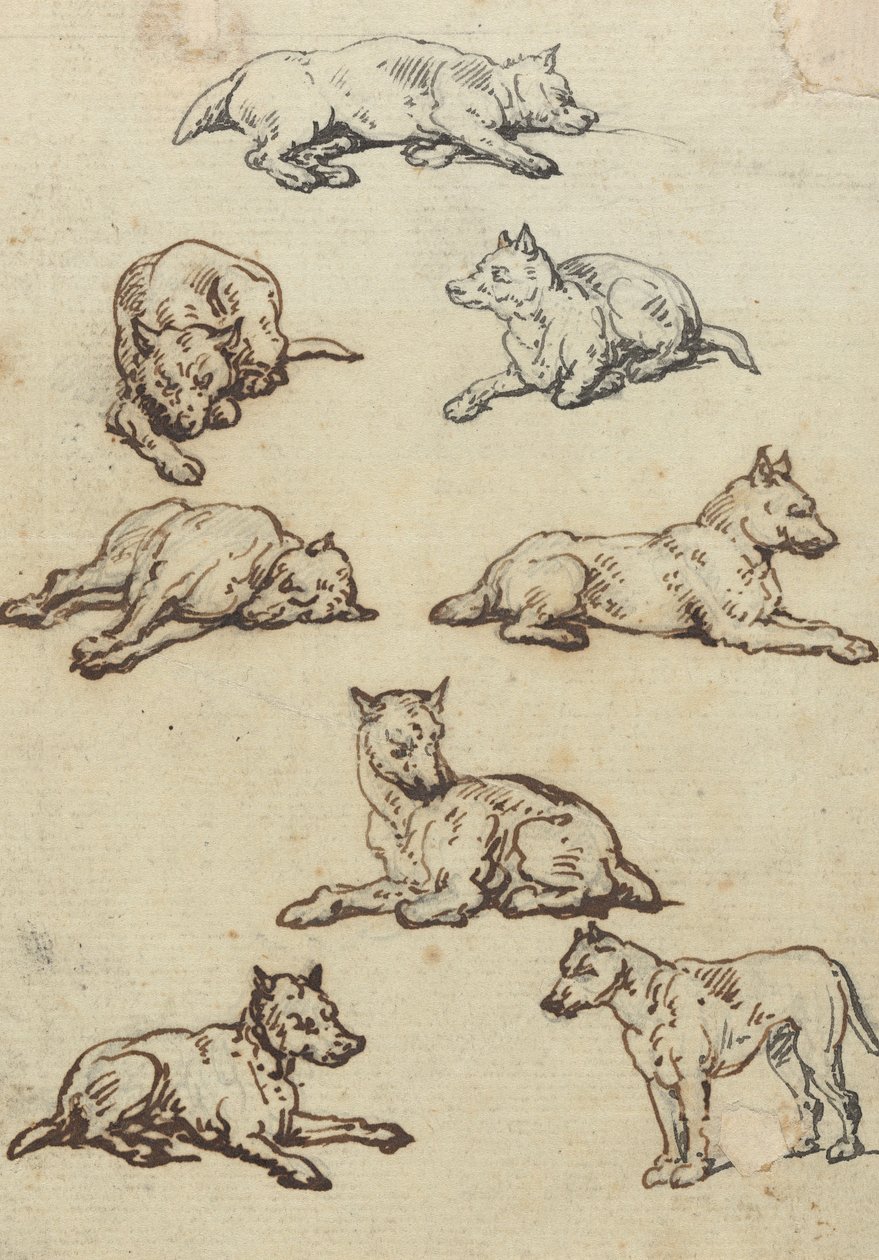 Albumin piirros tekijältä Thomas Rowlandson