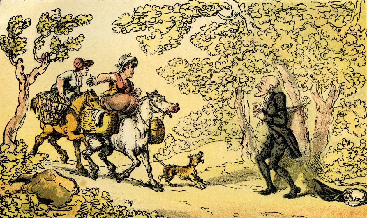 "Th. syntaksi valtatiemiesten sidottu puuhun" tekijältä Thomas Rowlandson
