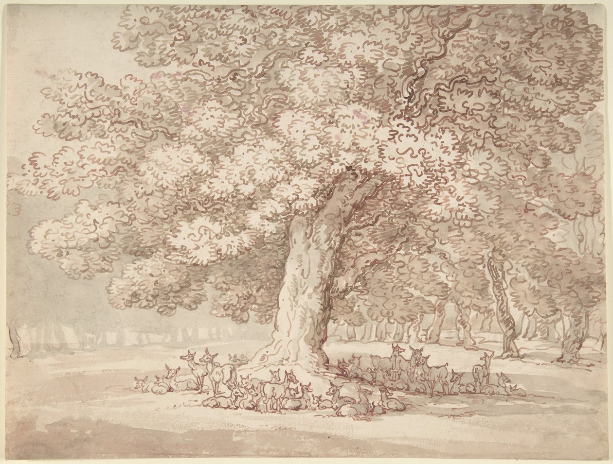 Hirvieläinlauma tammen alla tekijältä Thomas Rowlandson