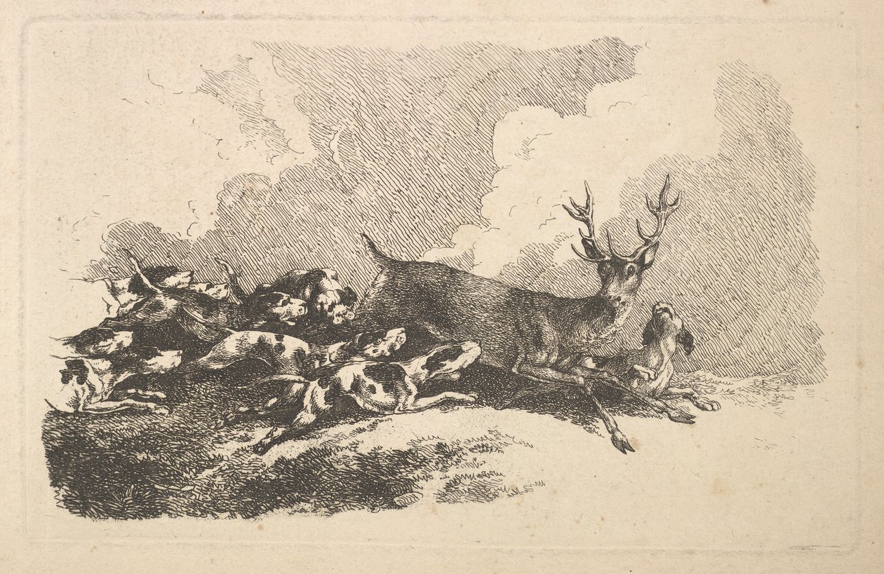 Koirat metsästämässä polttaria, 1784-88. tekijältä Thomas Rowlandson