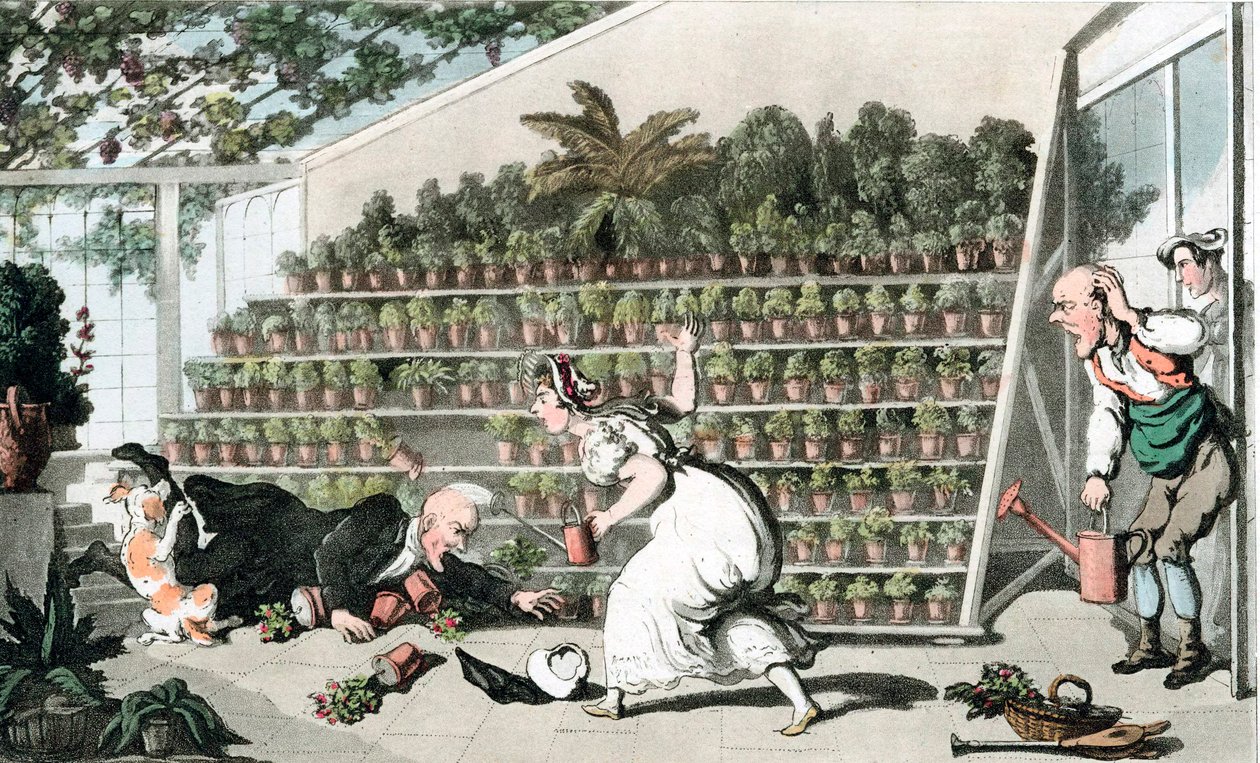 Epäonni tulppaanisalissa, n. 1816 tekijältä Thomas Rowlandson