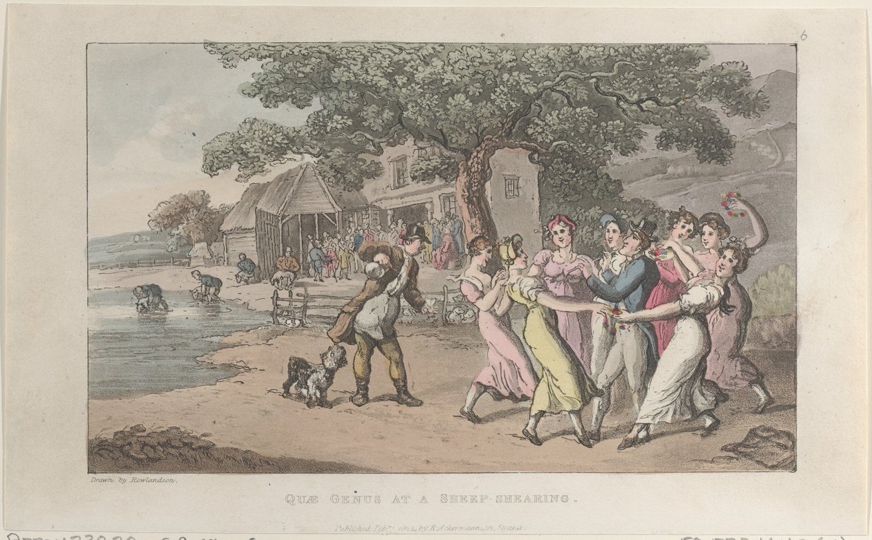 Quae-suku lampaanleikkauksessa, The History of Johnny Quae Genus, The Li..., 1. helmikuuta 1822. tekijältä Thomas Rowlandson