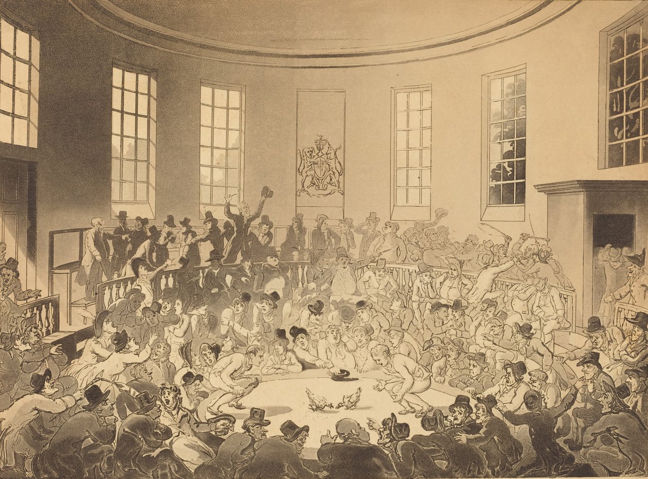 Royal Cock Pit, julkaistu 1808. tekijältä Thomas Rowlandson