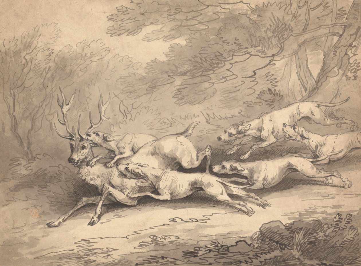 Koiralauma kaatoi hirven tekijältä Thomas Rowlandson