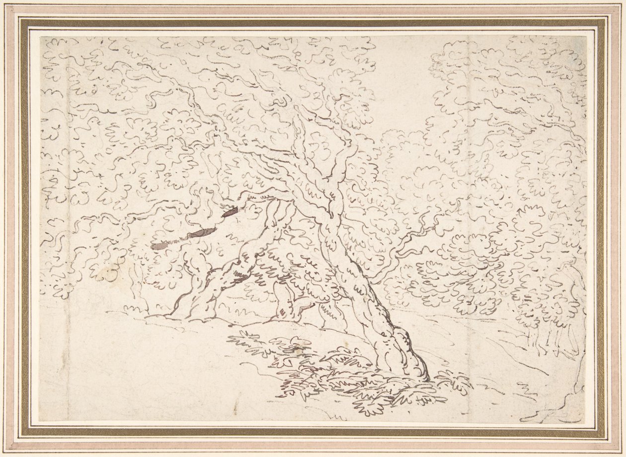 Puiden tutkimus tekijältä Thomas Rowlandson