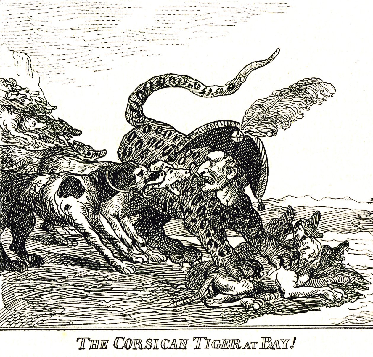 Kuori korsikan tiikeri (Napoleon Bonaparte), karikatyyri 1808 tekijältä Thomas Rowlandson