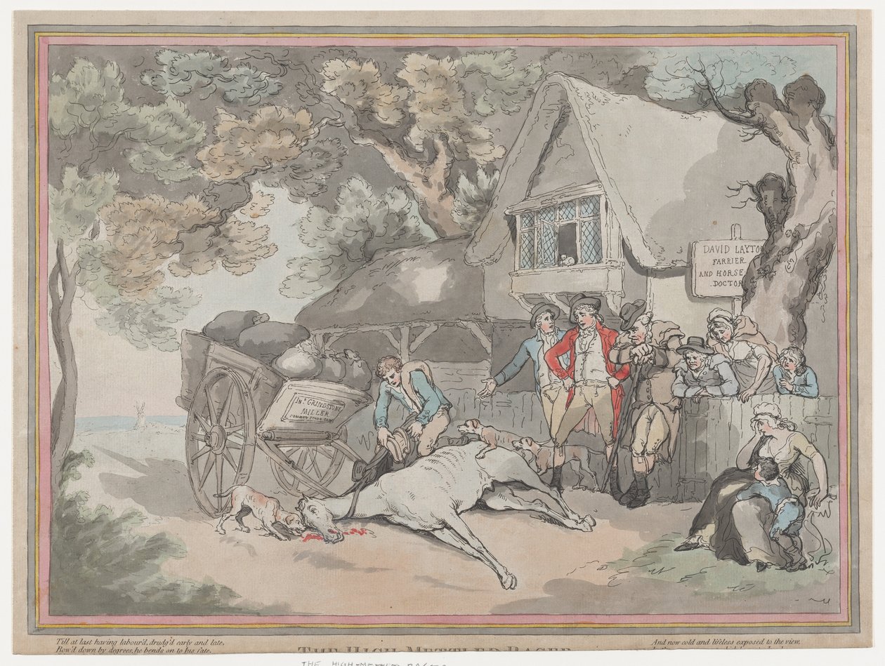 Kärryhevonen elokuvasta The Life of a Racehourse, tai The High-Mettled Racer, 2. heinäkuuta..., 20. heinäkuuta 1789. tekijältä Thomas Rowlandson