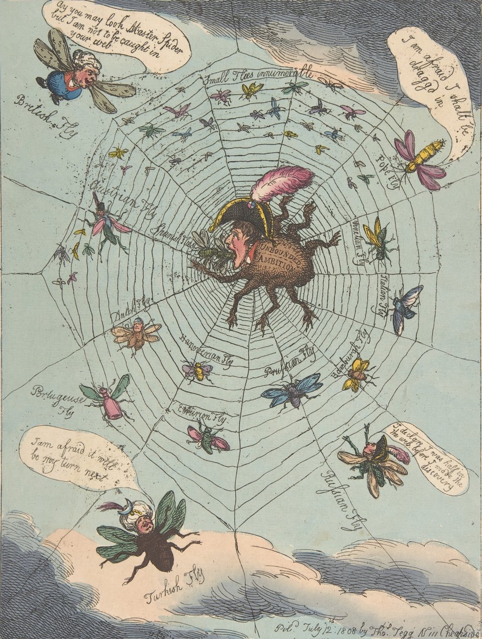 Korsikan hämähäkki verkossaan!, 12. heinäkuuta 1808, 12. heinäkuuta 1808. tekijältä Thomas Rowlandson