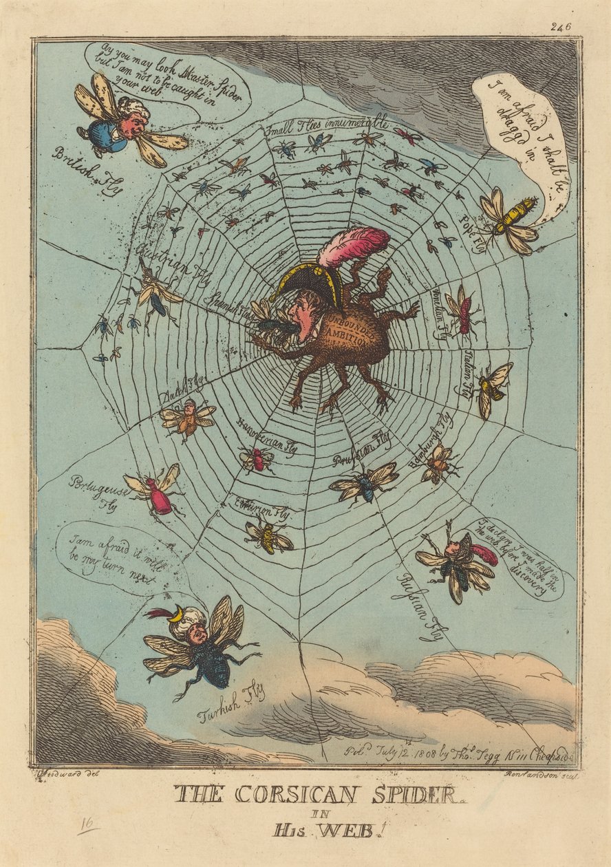 Korsikan hämähäkki verkossaan tekijältä Thomas Rowlandson