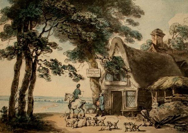 Kuninkaallinen tammi (akvarelli, kynä ja muste) tekijältä Thomas Rowlandson