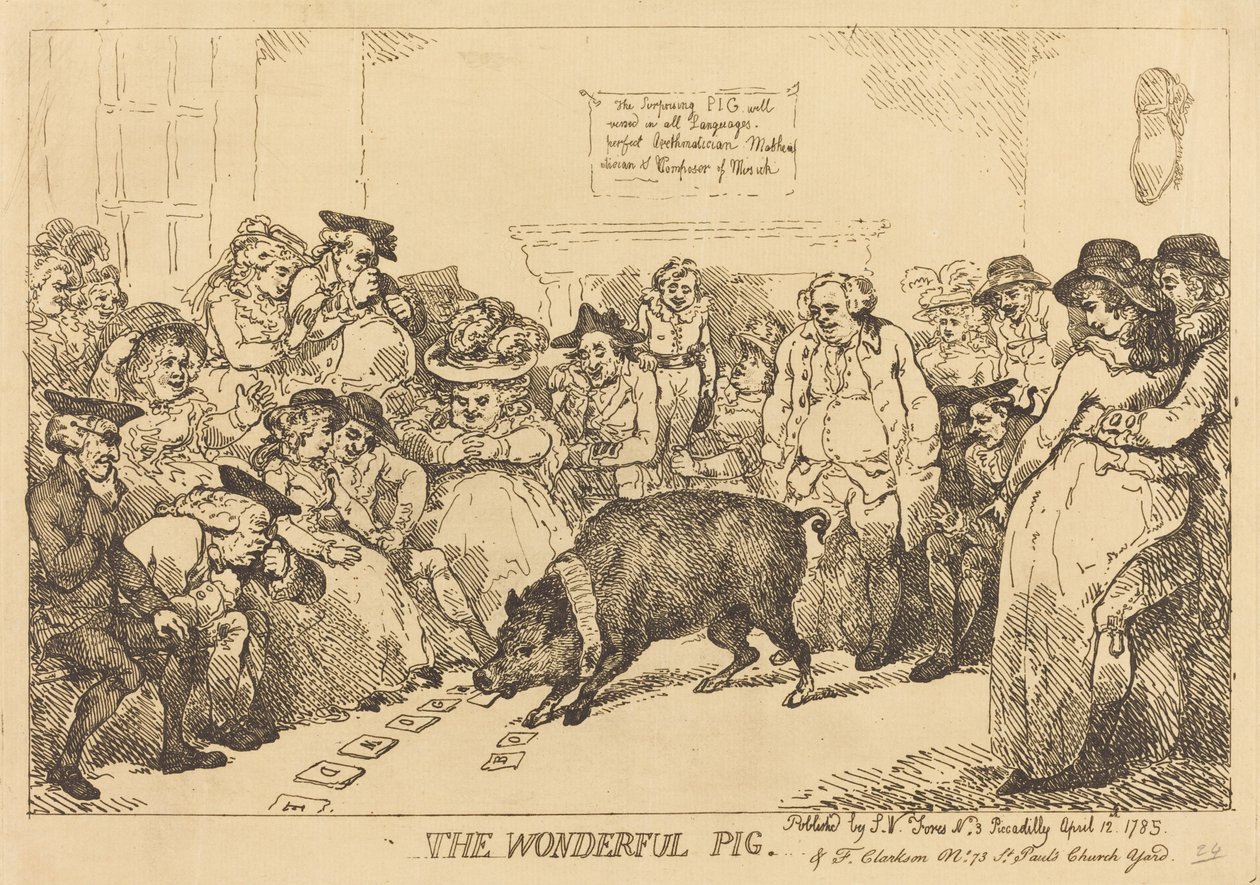 Ihana sika tekijältä Thomas Rowlandson