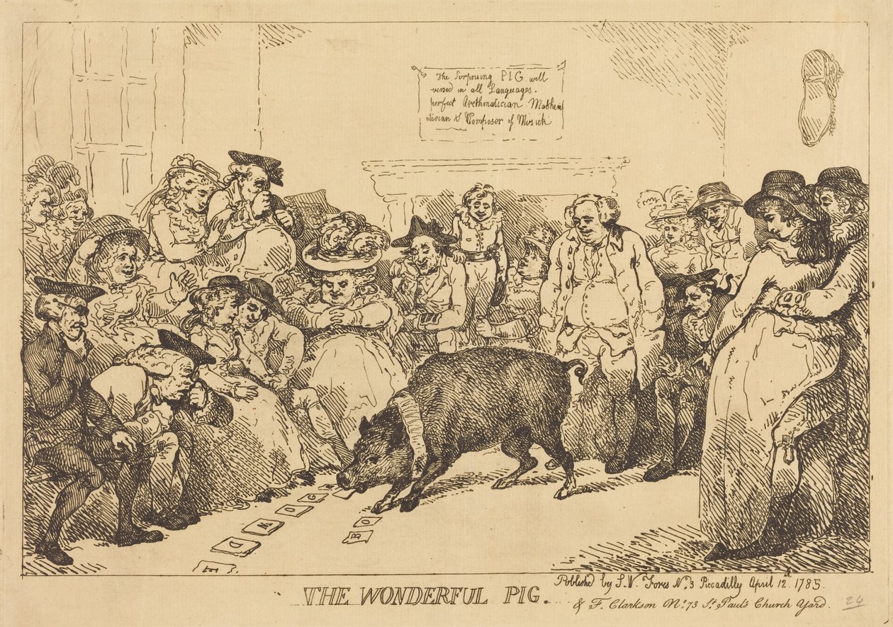 Ihmeellinen sika tekijältä Thomas Rowlandson
