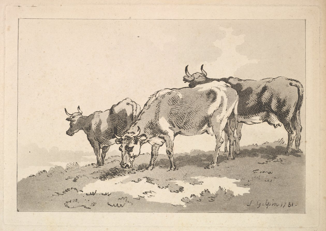 Kolme lehmää seisoo pellolla, 1784-87. tekijältä Thomas Rowlandson