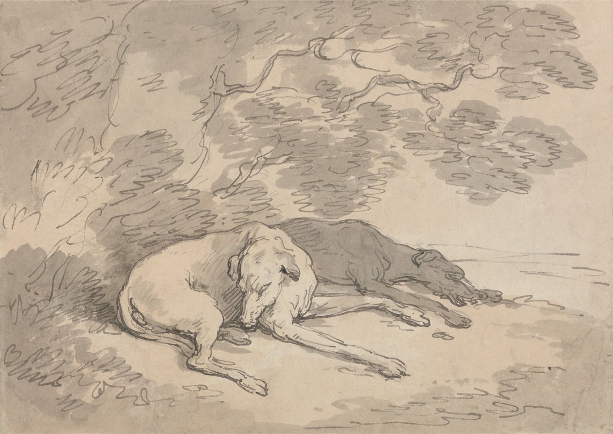 Kaksi vinttikoiraa makaa puun alla tekijältä Thomas Rowlandson