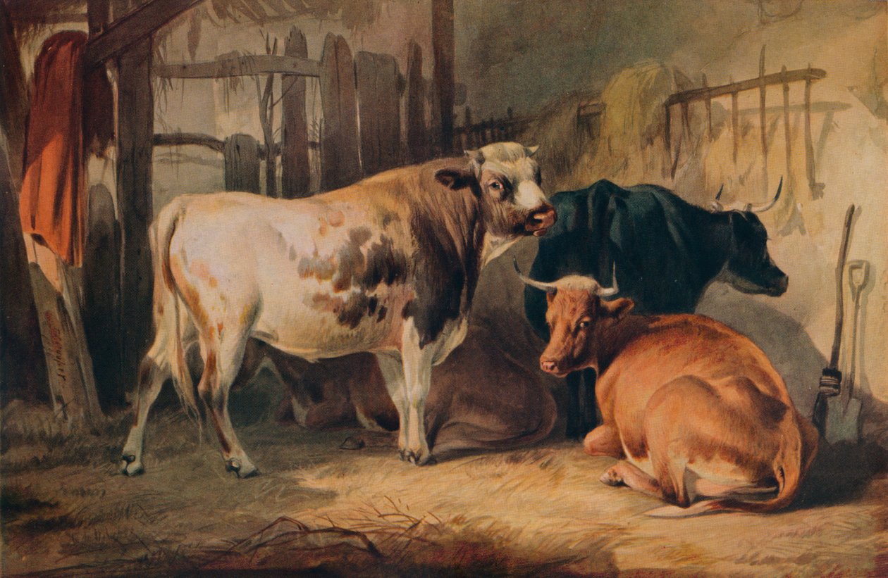Härkä ja kolme lehmää tallissa, c1856 tekijältä Thomas Sidney Cooper