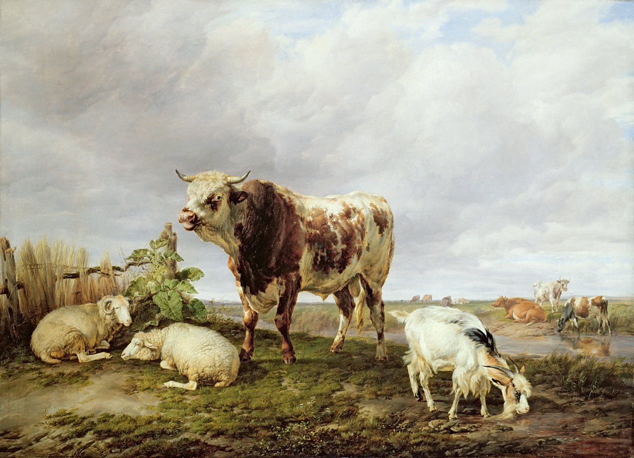 Karja niityllä tekijältä Thomas Sidney Cooper