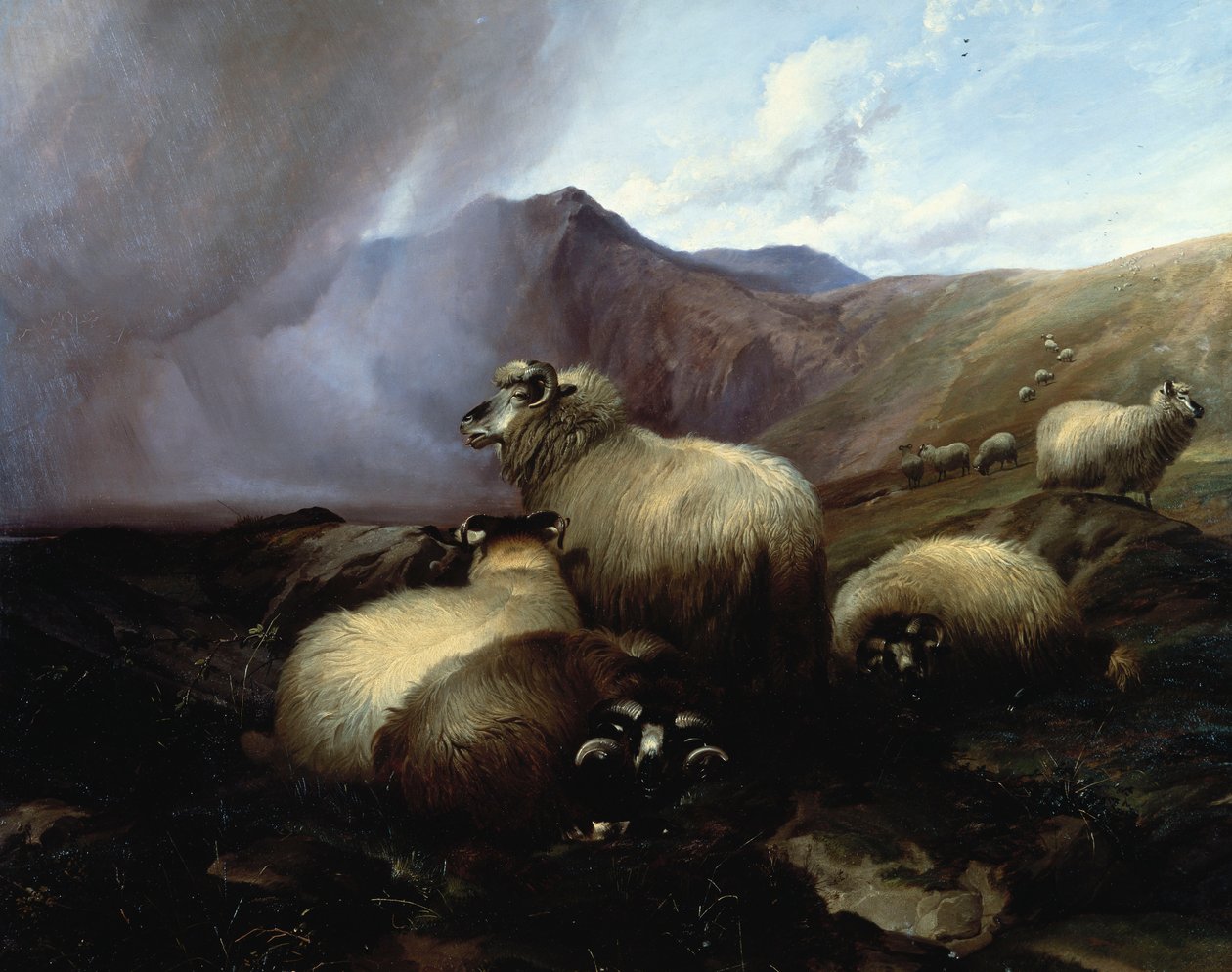 Ylämaan lampaat vuoristoisessa maisemassa, 1854 tekijältä Thomas Sidney Cooper