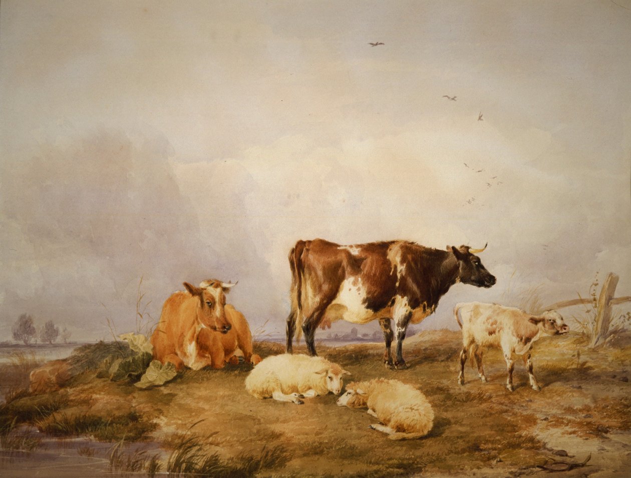 "Maisema ja karja", c1823-1902 tekijältä Thomas Sidney Cooper