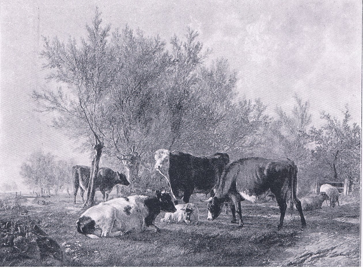 Maisema karjan kanssa, The Magazine of Art 1893, Cassell and Company tekijältä Thomas Sidney Cooper
