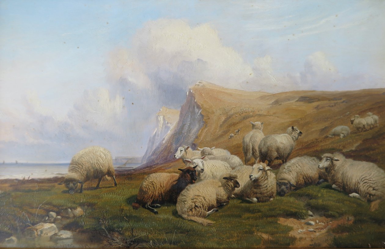 Shakespeare Cliff, Kent: Sheep on Coastal Pasture tekijältä Thomas Sidney Cooper