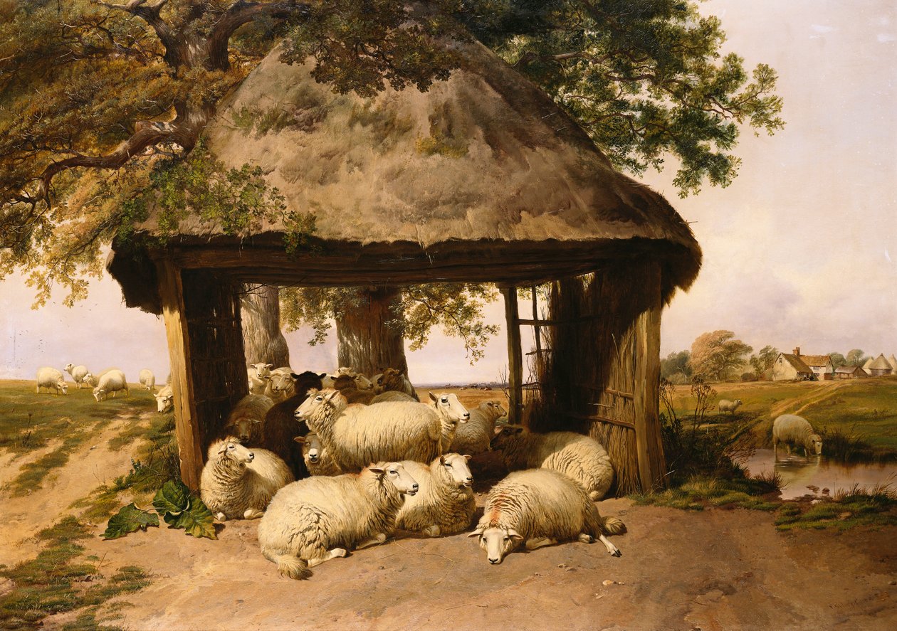 Lampaat lepäävät suojan alla tekijältä Thomas Sidney Cooper
