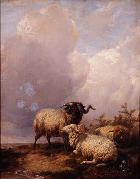 Lampaat maisemassa tekijältä Thomas Sidney Cooper